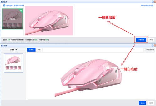重磅上新 產品開發精選功能與數據支持服務，為高效選品采購注入新動能